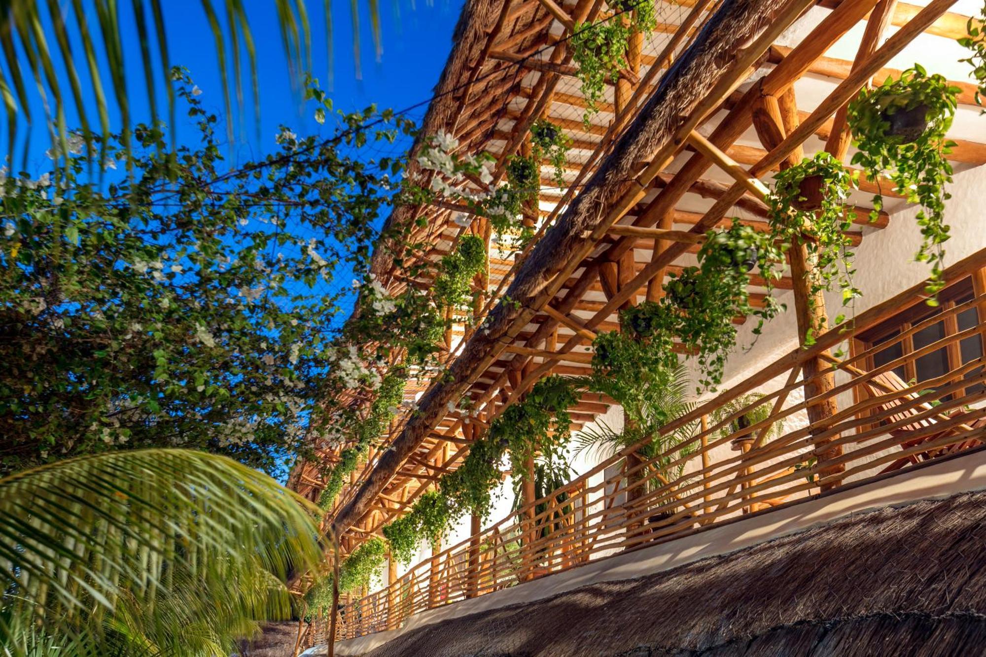 La Palma Holbox Ilha Holbox Exterior foto